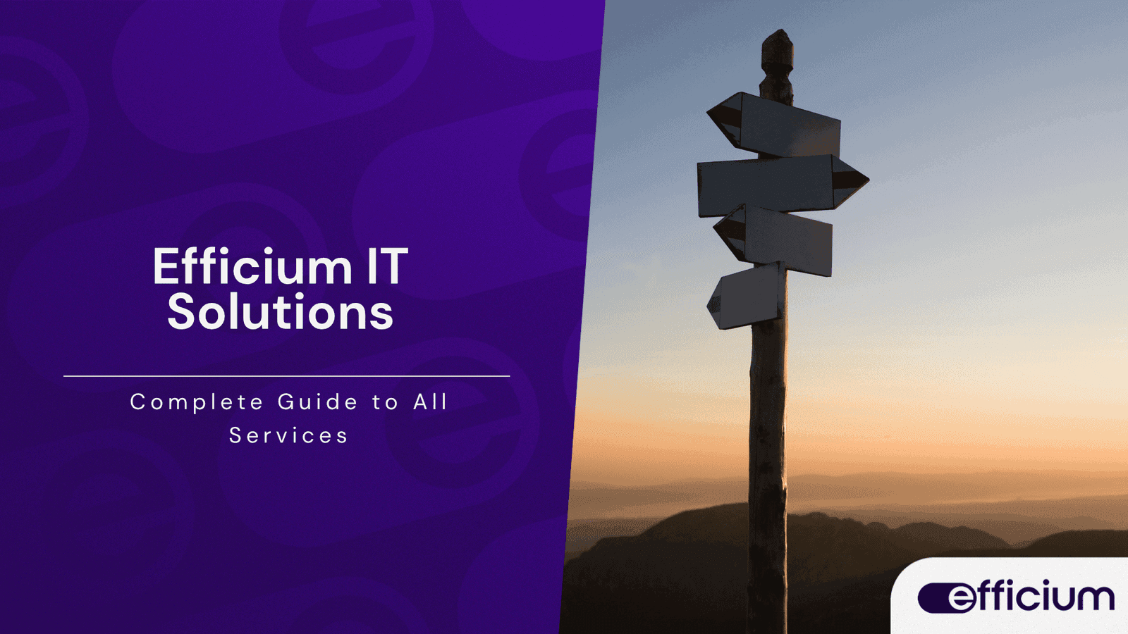 Clear, descriptive image of a signpost with multiple directions against a sunset, representing IT decision pathways and solutions by Efficium.